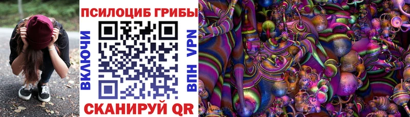 Галлюциногенные грибы Psilocybe Вытегра